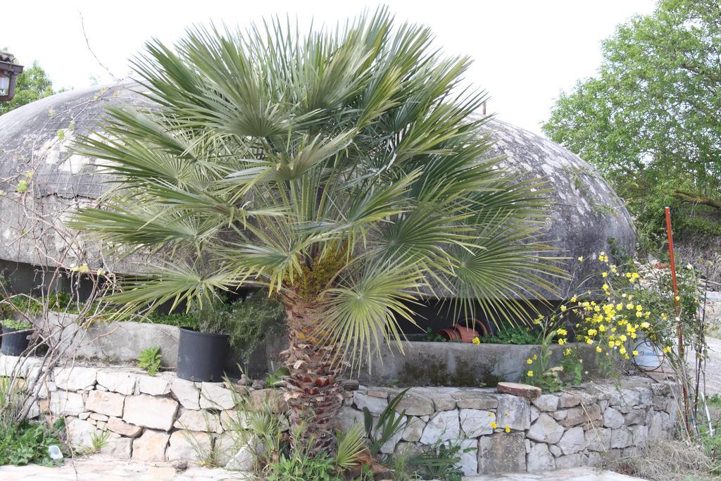 Villa La Scaletta Alghero Bilik gambar