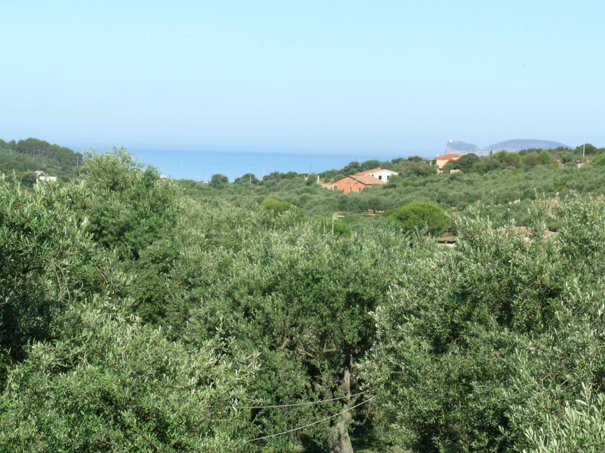 Villa La Scaletta Alghero Luaran gambar